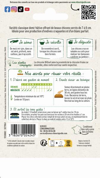 Potagères - Chicorée Witloof (endive) Blanche Normale - MEDIA_PACKAGING_VERSO